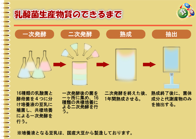 ビオネの乳酸菌生産物質（バイオジェニックス）ができるまで